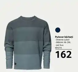 Selgros Pulover bărbați Ofertă