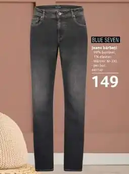 Selgros Jeans bărbați Ofertă