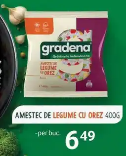Selgros Amestec de Legume cu Orez 400g Ofertă