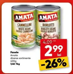 PROFI Fasole Amata Ofertă
