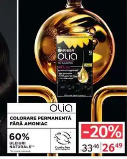 Selgros Garnier Olia Ofertă