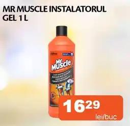 Unicarm Mr Muscle instalatorul gel Ofertă