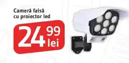 Supeco Camera falsă cu proiector led Ofertă
