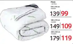 Selgros Pilotă Ofertă