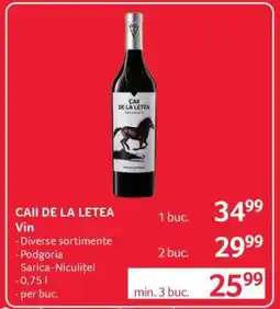 Selgros CAII DE LA LETEA Vin Ofertă