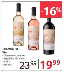 Selgros TRAMONTO Vin Ofertă