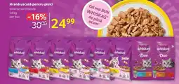 Selgros Hrană uscată pentru pisici Ofertă
