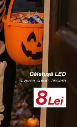 Lidl Găletușă led Ofertă