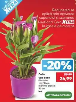 Kaufland Calla Ofertă