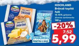 Kaufland HOCHLAND Brânză topită felii Ofertă