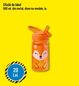TEDI Sticlă de băut Ofertă