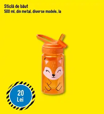 Sticlă de băut