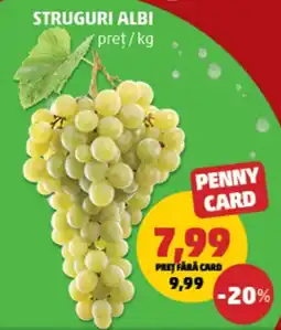 Penny Struguri albi Ofertă