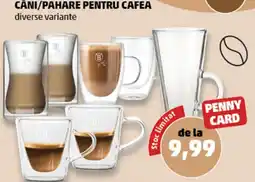 Penny B Căni/Pahare Pentru Cafea Ofertă