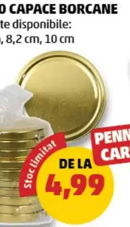 Penny Capace borcane Ofertă