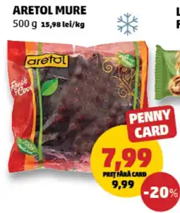 Penny Aretol mure Ofertă