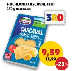 Penny Hochland cascaval felii Ofertă