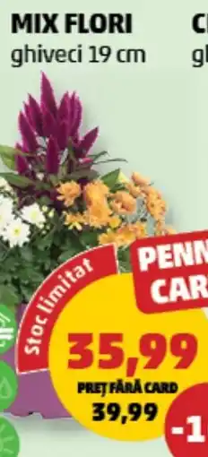 Penny Mix Flori Ofertă