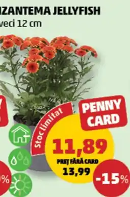 Penny Zanzotema Jellyfish Ofertă