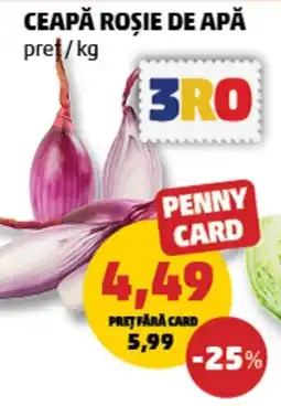 Penny 3ro ceapă roșie de apă Ofertă