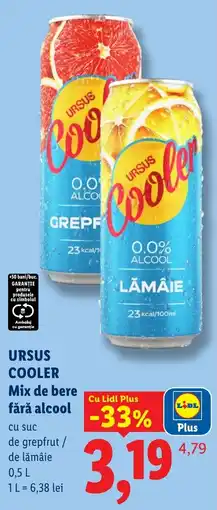 Lidl Ursus cooler Ofertă