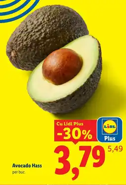 Lidl Lidl Avocado Hass Ofertă
