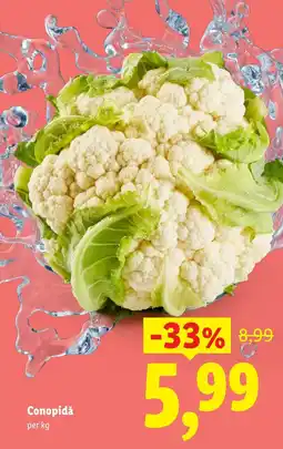 Lidl Conopidă Ofertă