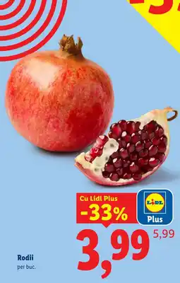 Lidl Lidl Rodii Ofertă