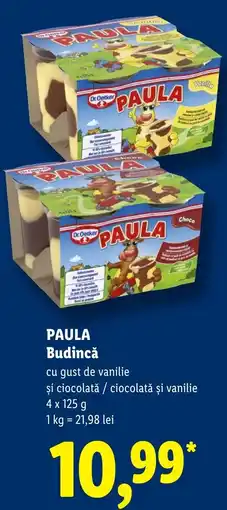 Lidl Paula budincă Ofertă