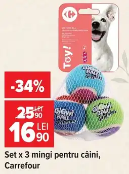 Carrefour Gigwi mingi pentru câini Ofertă