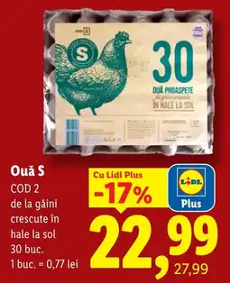Lidl Lidl Ouă S Ofertă