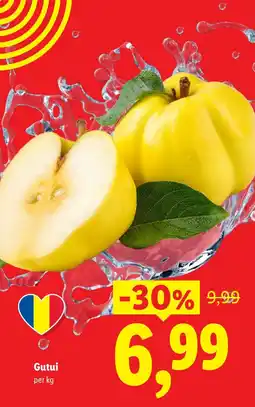 Lidl Gutui Ofertă