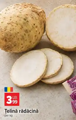 Carrefour Market Țelină rădăcină Ofertă