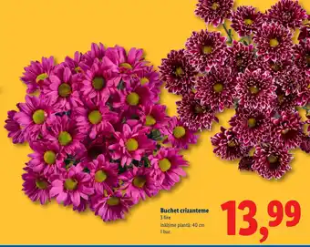 Lidl Buchet crizanteme Ofertă