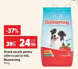 Carrefour Boomerang hrană uscată pentru câini Ofertă