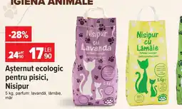 Carrefour Nisipur așternut ecologic pentru pisici Ofertă