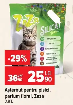 Carrefour Zaza așternut pentru pisici Ofertă
