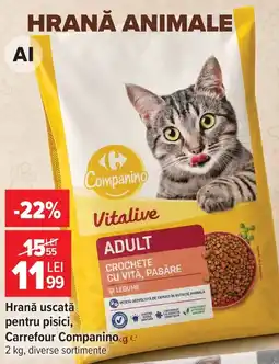 Carrefour Companino hrană uscată pentru pisici Ofertă