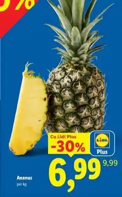 Lidl Ananas Ofertă