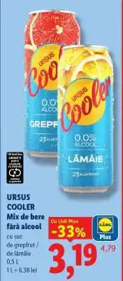 Lidl URSUS COOLER Ofertă