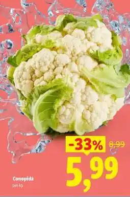 Lidl Conopidă Ofertă
