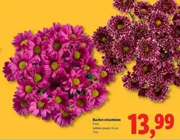Lidl Buchet crizanteme Ofertă
