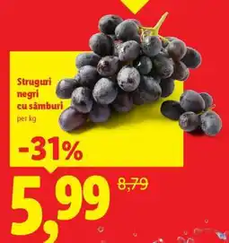 Lidl Struguri negri cu sâmburi Ofertă