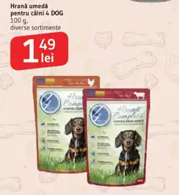 Supeco 4 dog hrană umedă pentru câini Ofertă
