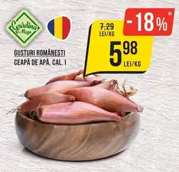 Mega Image Grădina Mega ceapă de apă, cal. i Ofertă