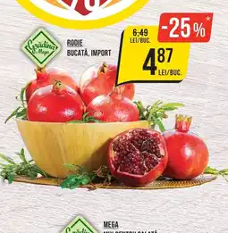 Mega Image Grădina Mega Rodie Ofertă