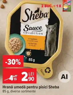 Carrefour Sheba sauce collection Ofertă
