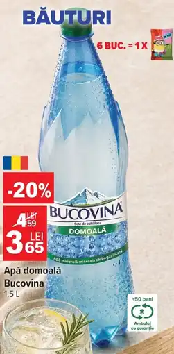 Carrefour Apă domoală Bucovina Ofertă