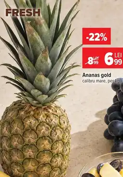 Carrefour Ananas gold Ofertă