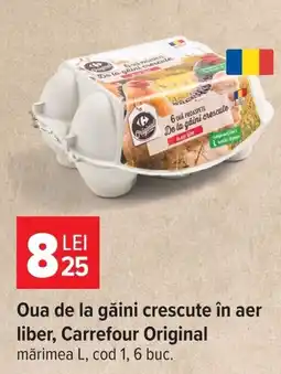 Carrefour Carrefour Original Oua de la găini crescute în aer liber Ofertă
